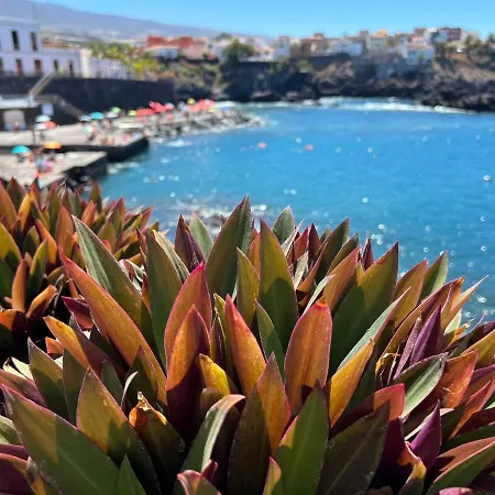 Privatunterkunft Alcamar Privada Con Bano Compartido Cerca Al Mar! Alcalá la Real